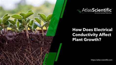 how does electrical conductivity affect plants